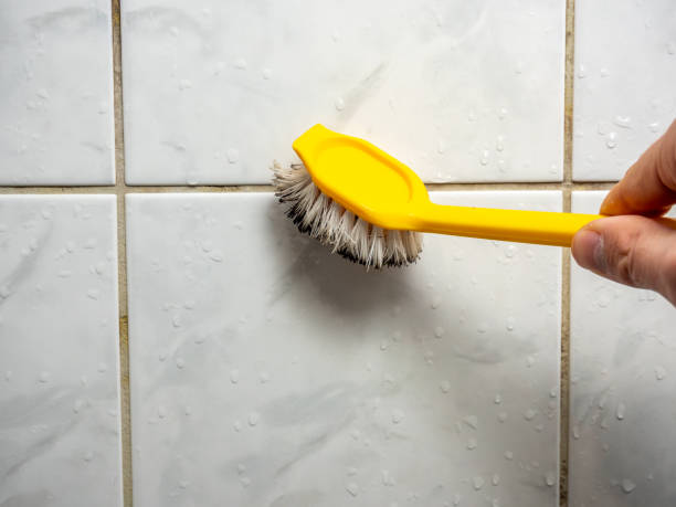Reliable Worthington, OH Mold Remediation Solutions