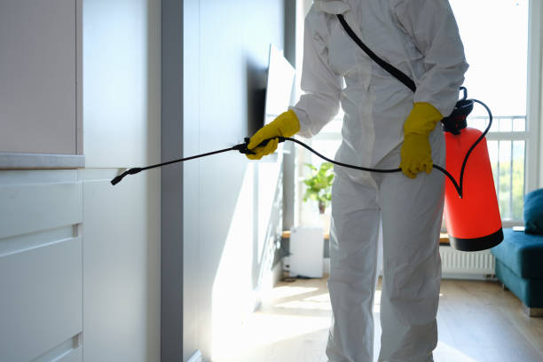 Best Crawl Space Mold Remediation in Worthington, OH