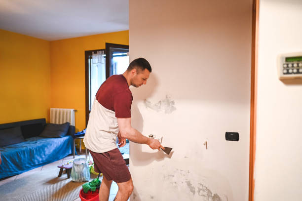 Best Mold Remediation for Schools in Worthington, OH